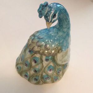 NWB Edie rose peacock box